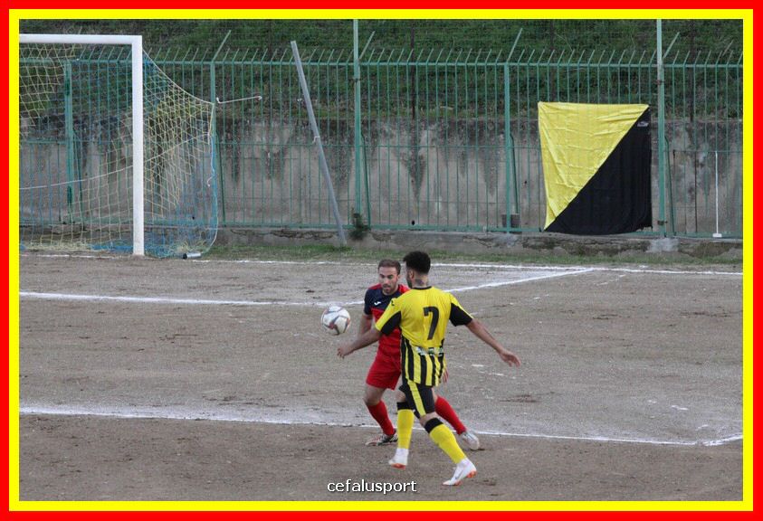 181111 Cepha_Milazzo 221_tn.JPG